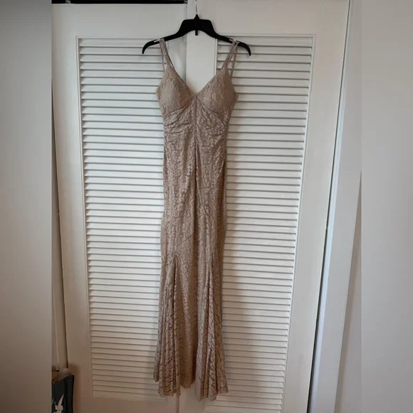 Jill Stuart Beige Lace Gown - Picture 7 of 10